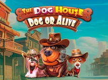The Dog House - Dog or Alive